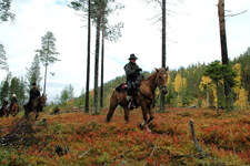 Finland-Finland-Sami Wilderness Trail